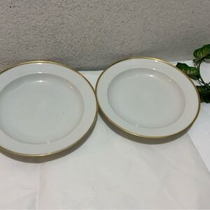 Set of 2  Salad Plates 9” Rosenthal Helena Shape White w/ Gold Trim G15